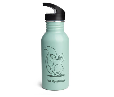 Stainless Steel Bottle, Sage Green